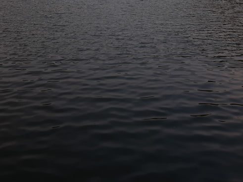 body of water during daytime