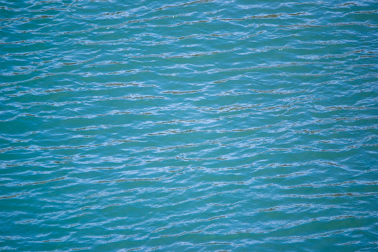 Water's rippled surface in shades of blue.
